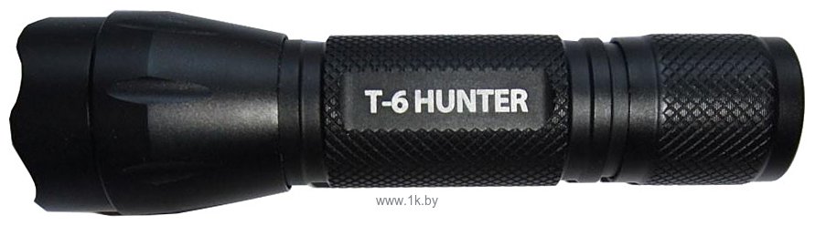 Фотографии Яркий луч T-6 Hunter