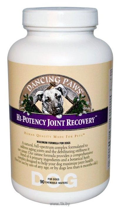 Фотографии Dancing Paws Hi-Potency Joint Recovery для собак