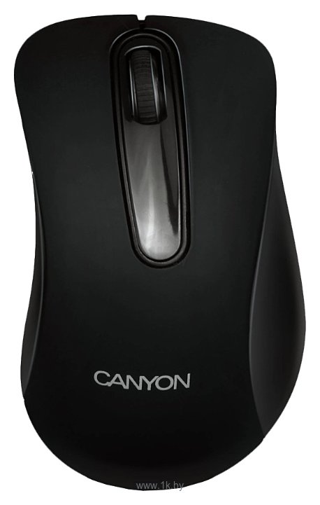 Фотографии Canyon CNE-CMSW2 black USB