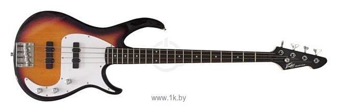 Фотографии Peavey Milestone 4 BXP