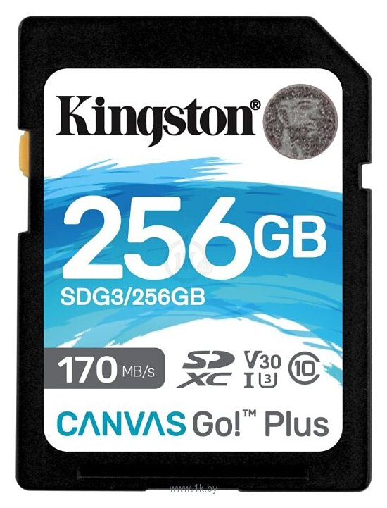 Фотографии Kingston SDG3/256GB