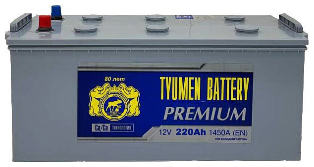 Фотографии Tyumen Battery Premium (220Ah)