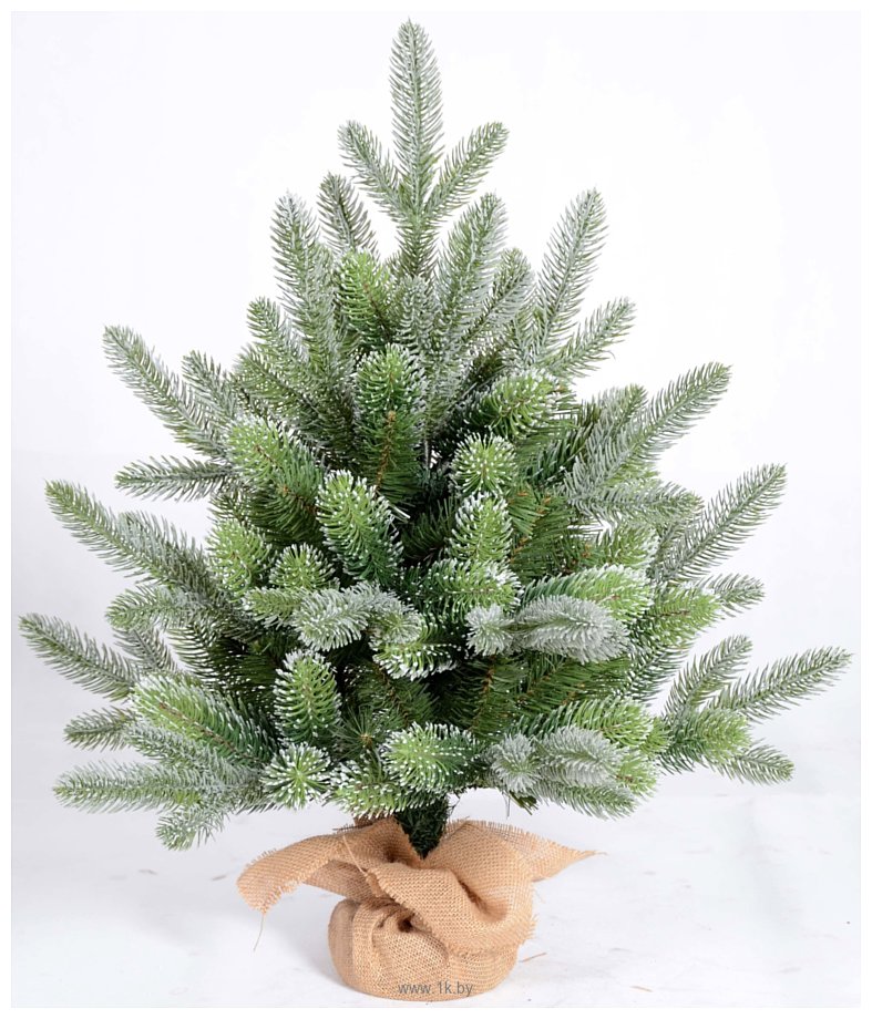 Фотографии Christmas Tree Venera 0.6 м