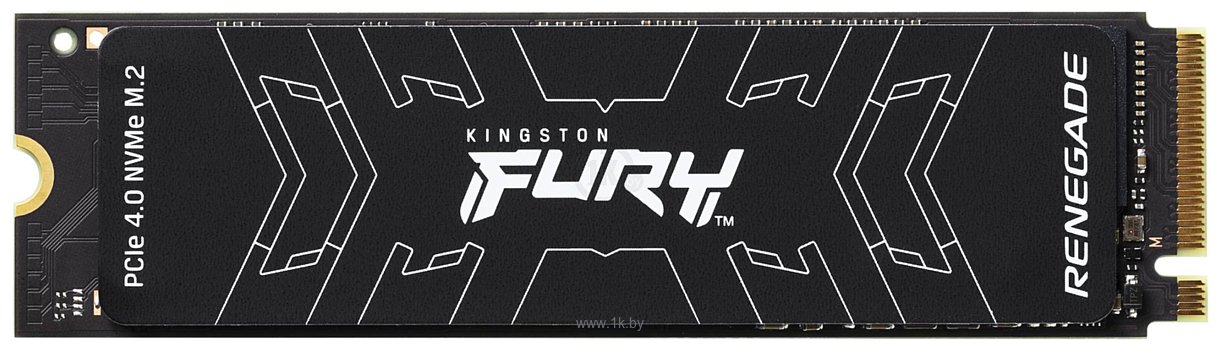 Фотографии Kingston Fury Renegade 500GB SFYRS/500G