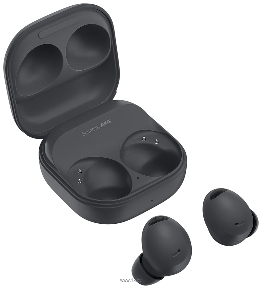 Фотографии Samsung Galaxy Buds 2 Pro (графитовый)