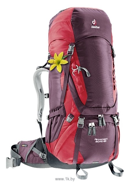 Фотографии Deuter Aircontact 60+10 SL red (aubergine/cranberry)