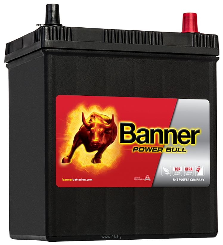 Фотографии Banner Power Bull P40 26 (40Ah)