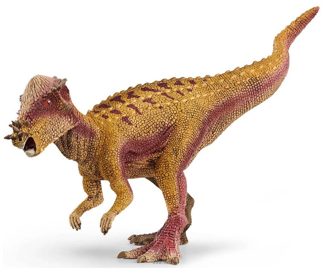 Фотографии Schleich Пахицефалозавр 15024