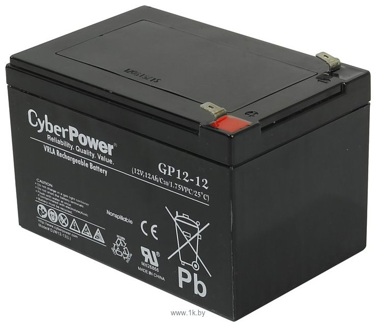 Фотографии CyberPower DJW12-12