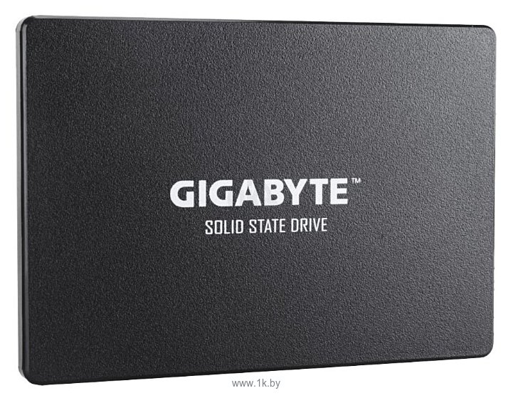 Фотографии GIGABYTE 1000 GB (GP-GSTFS31100TNTD)