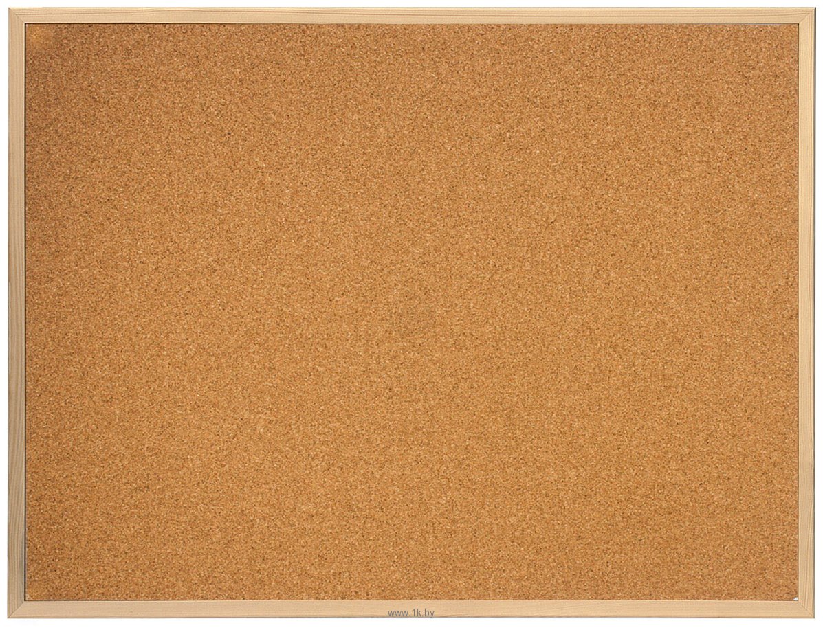 Фотографии BRAUBERG 236861