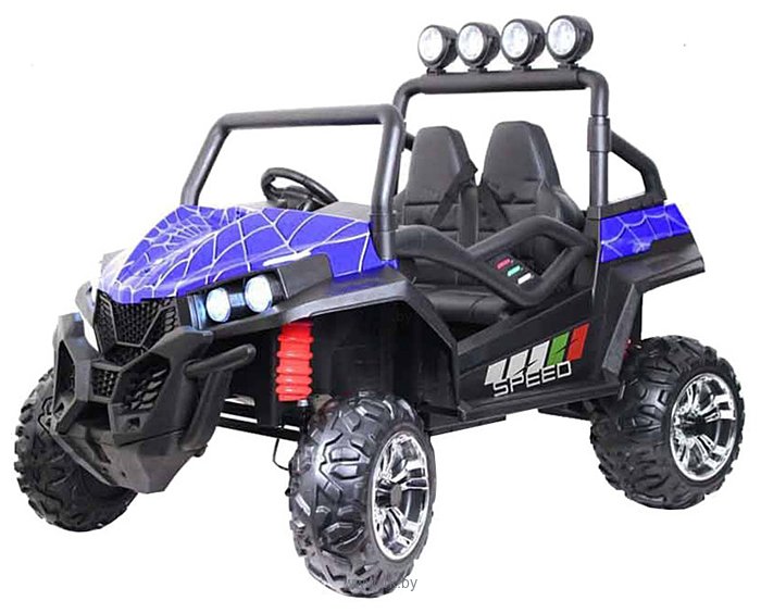 Фотографии RiverToys Buggy T888TT 4WD (синий паук)