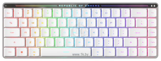 Фотографии ASUS ROG Falchion Moonlight White ASUS RX Low Profile Blue