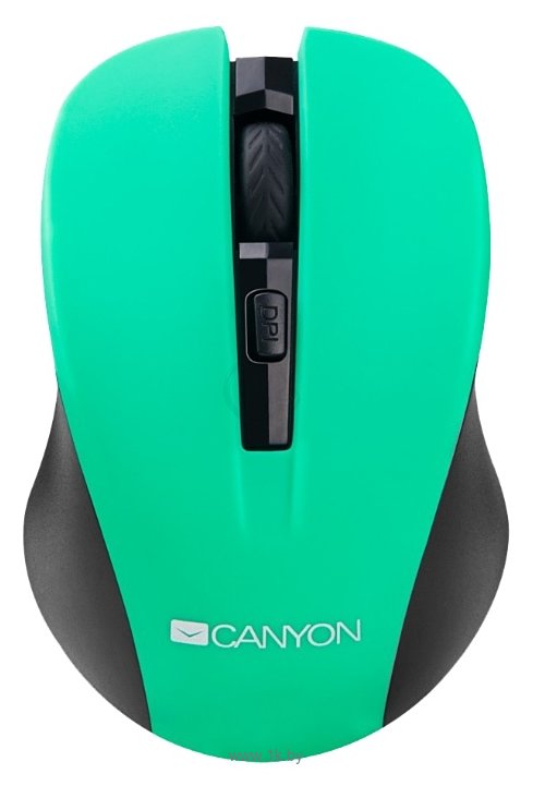 Фотографии Canyon CNE-CMSW1GR Green USB