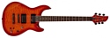Fernandes Guitars Dragonfly Pro
