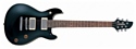 Fernandes Guitars APG-60