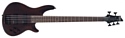 Schecter Omen-5