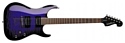 Washburn X50PRO