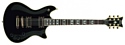 Schecter Tempest Custom