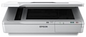 Epson WorkForce DS-5500N