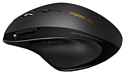 Rapoo Wireless Laser Mouse 7800P black USB
