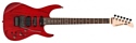 Fernandes Guitars FR DLX JPC