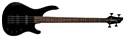 Washburn SHB30