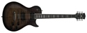 Washburn WINDLXF