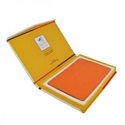 PCARO iPad mini EJ Orange