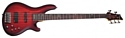 Schecter C-5 Custom