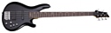 Schecter C-5 Deluxe