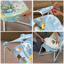 Fisher-Price Soothe & Go Bouncy Seat W9454