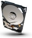 Seagate ST1000VM002