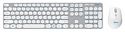 Trust Darcy Wireless Keyboard with mouse Silver USB