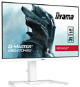 Iiyama G-Master GB2470HSU-W5