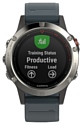 Garmin Fenix 5 (silicone)