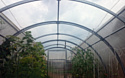 Ботаник Тюльпан (с открывающейся крышей) 6 м