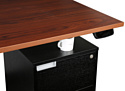 ErgoSmart Unique Ergo Desk 1380x800x18мм (дуб мореный/черный)