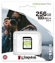 Kingston SDS2/256GB