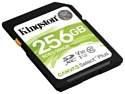 Kingston SDS2/256GB