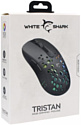 White Shark GM-9004 Tristan White Shark GM-9004 Tristan