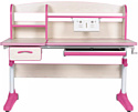 Anatomica Uniqa + надстройка + подставка для книг с розовым креслом Ragenta (клен/розовый)