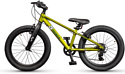 Maxiscoo 5Bike 20 M (2024)