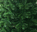 Toyland Зеленая Люкс с зелеными кончиками 1.5 м