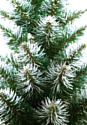 Holiday Trees Альпийская 2.2 м