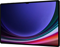 Samsung Galaxy Tab S9 Ultra 5G SM-X916 12/256GB