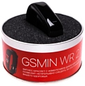 GSMIN WR21