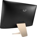 ASUS Vivo AiO V222GAK-BA008M