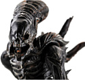 Hiya Toys Aliens Colonial Marines Xenomorph Raven TM20021