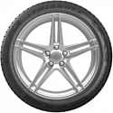 Triangle TW401 225/55 R16 99V